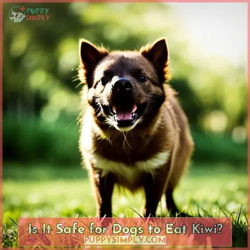 Is It Safe for Dogs to Eat Kiwi?