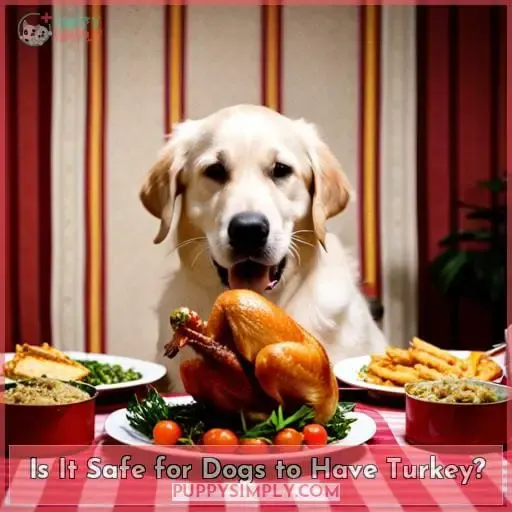 Is It Safe for Dogs to Have Turkey
