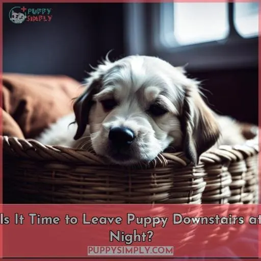 Is It Time to Leave Puppy Downstairs at Night?
