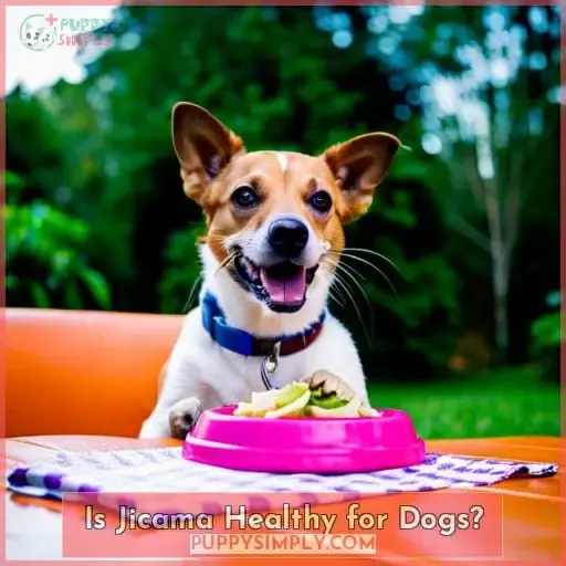 Is Jicama Healthy for Dogs?
