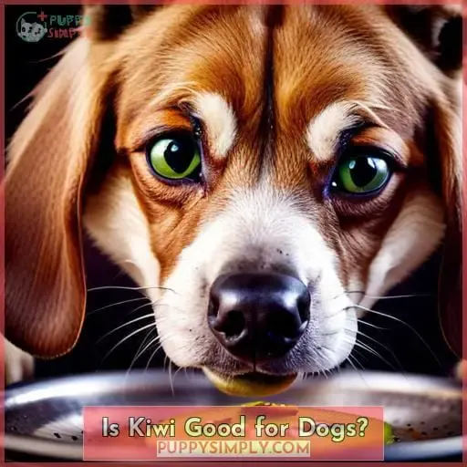 Is Kiwi Good for Dogs?