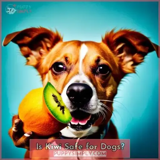 Is Kiwi Safe for Dogs?