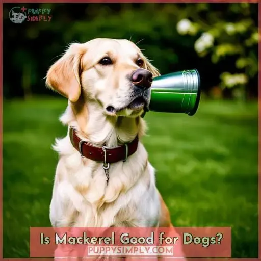 Is Mackerel Good for Dogs