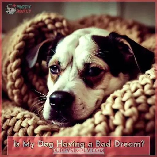 Is My Dog Having a Bad Dream?