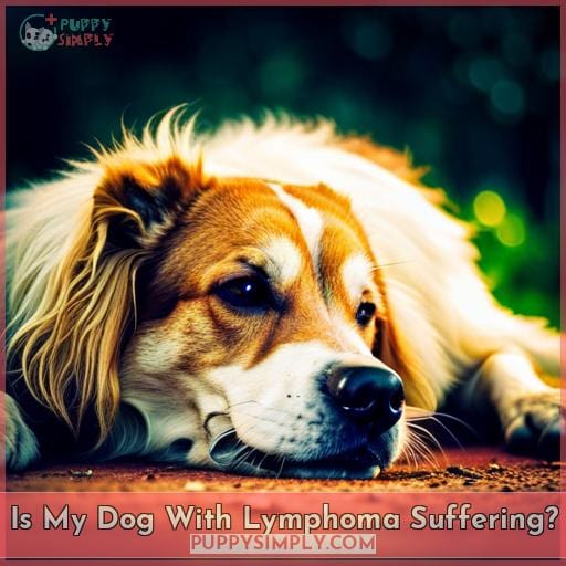Is My Dog With Lymphoma Suffering?