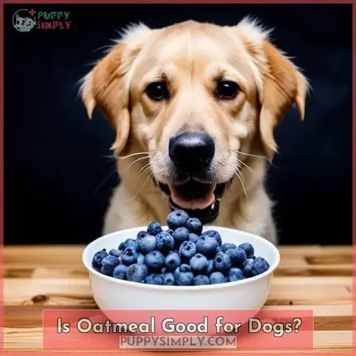 Is Oatmeal Good for Dogs
