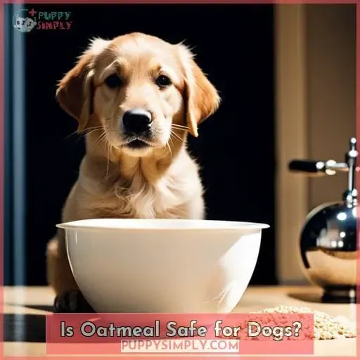Is Oatmeal Safe for Dogs