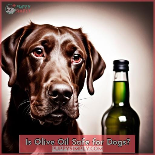 Is Olive Oil Safe for Dogs