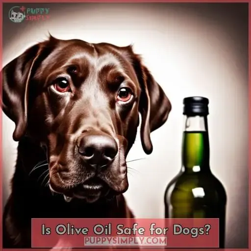 Is Olive Oil Safe for Dogs