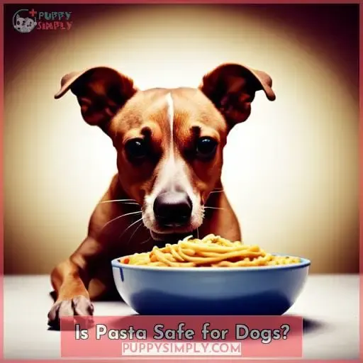 Is Pasta Safe for Dogs?