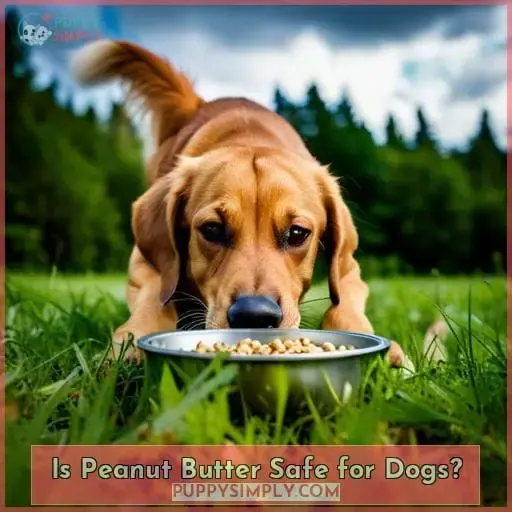 Is Peanut Butter Safe for Dogs?