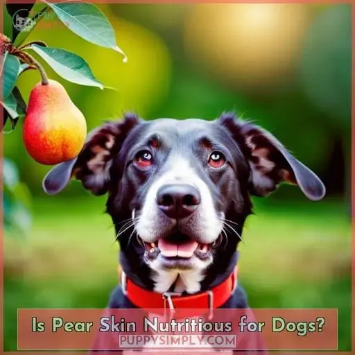 Is Pear Skin Nutritious for Dogs?