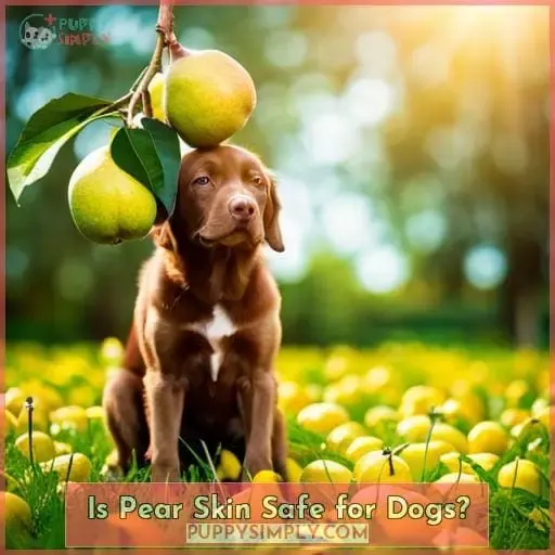 Is Pear Skin Safe for Dogs?