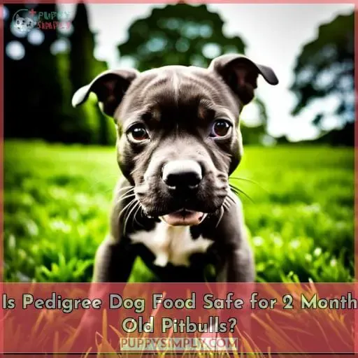 Is Pedigree Dog Food Safe for 2 Month Old Pitbulls?