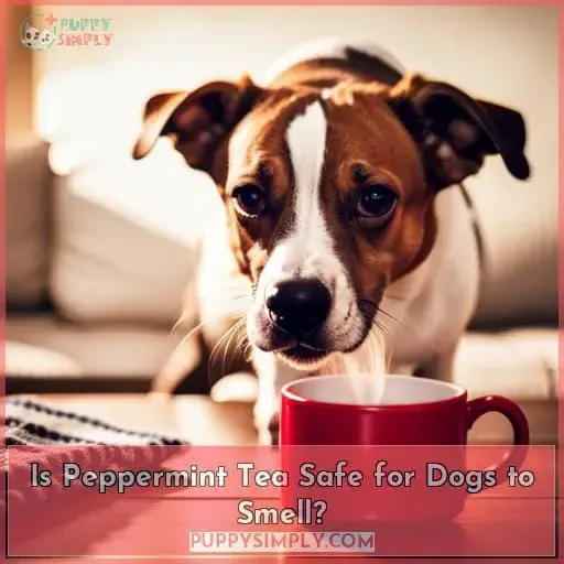 Is Peppermint Tea Safe for Dogs to Smell