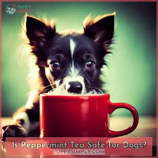 Is Peppermint Tea Safe for Dogs