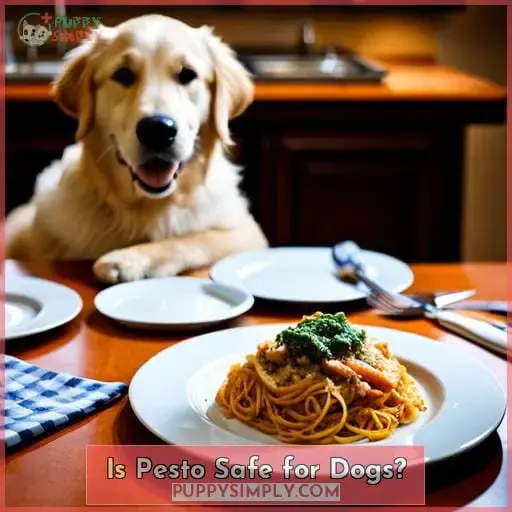 Is Pesto Safe for Dogs