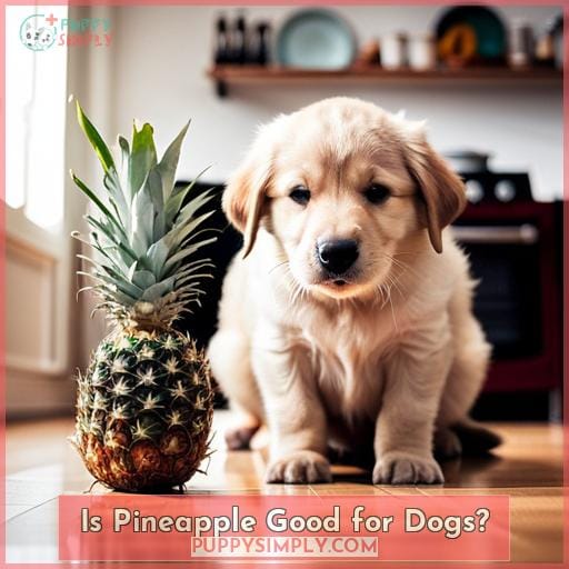 Is Pineapple Good for Dogs