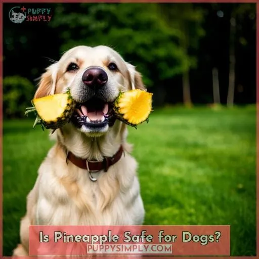 Is Pineapple Safe for Dogs