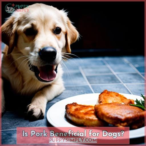Is Pork Beneficial for Dogs?