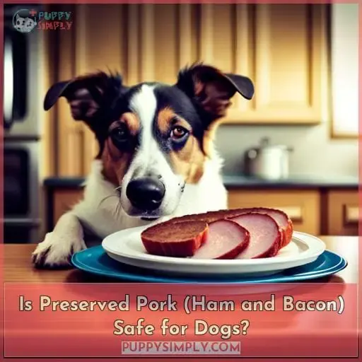 Is Preserved Pork (Ham and Bacon) Safe for Dogs?