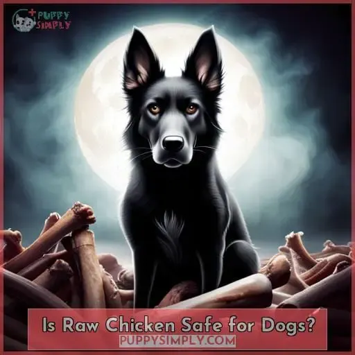 Is Raw Chicken Safe for Dogs?