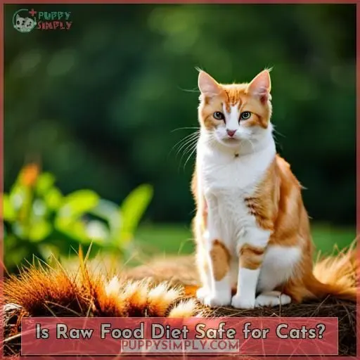 Is Raw Food Diet Safe for Cats?
