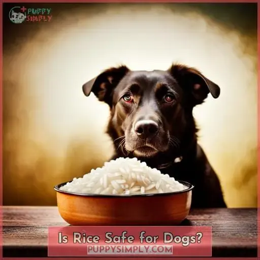Is Rice Safe for Dogs?