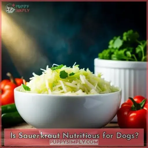 Is Sauerkraut Nutritious for Dogs?