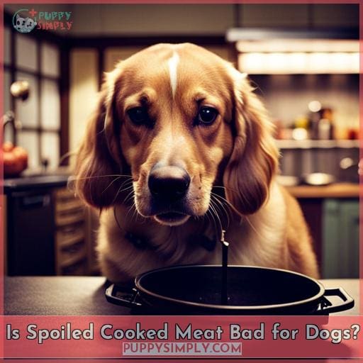 Is Spoiled Cooked Meat Bad for Dogs?