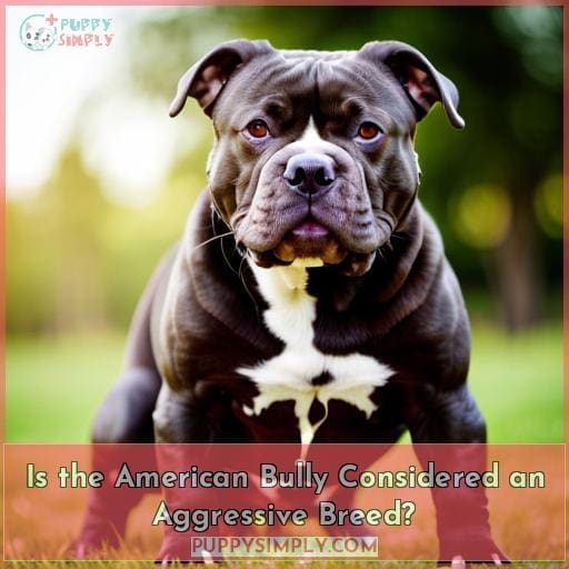 Is the American Bully Considered an Aggressive Breed?