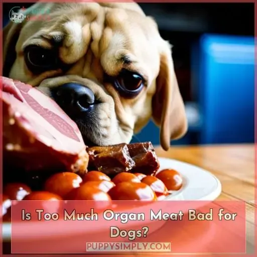 Is Too Much Organ Meat Bad for Dogs?