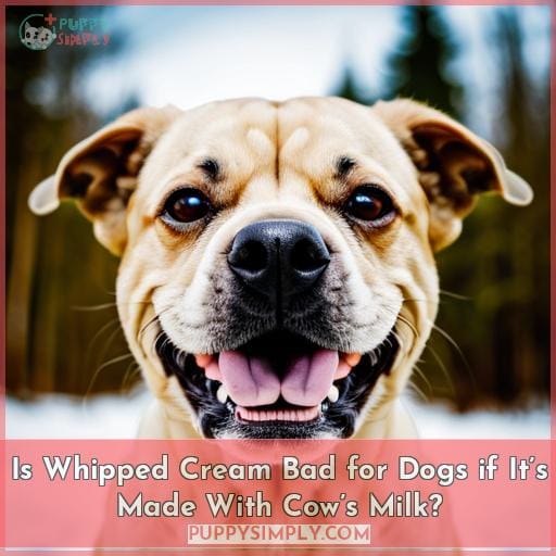 Is Whipped Cream Bad for Dogs if It’s Made With Cow’s Milk? Is Whipped Cream Bad for Dogs if It’s Made With Cow’s Milk?