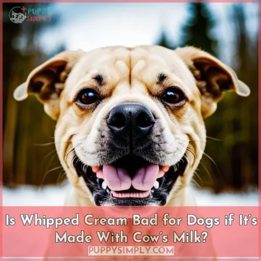 Is Whipped Cream Bad for Dogs if It’s Made With Cow’s Milk?