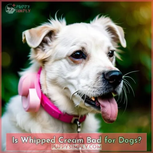 Is Whipped Cream Bad for Dogs?