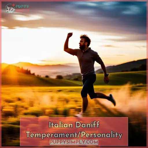 Italian Daniff Temperament/Personality