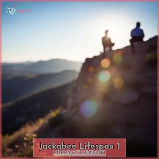 jackabee lifespan 1