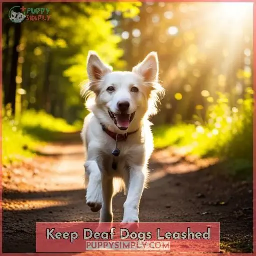 Keep Deaf Dogs Leashed