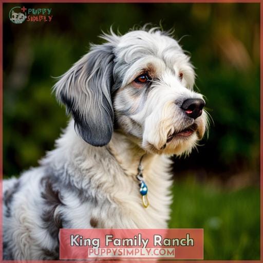 King Family Ranch