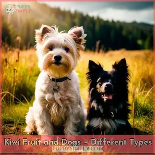 Kiwi Fruit and Dogs – Different Types