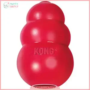 KONG Classic Stuffable Dog Toy