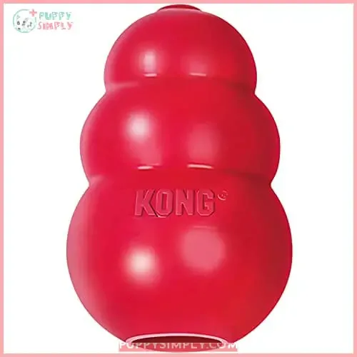 KONG - Classic Dog Toy,