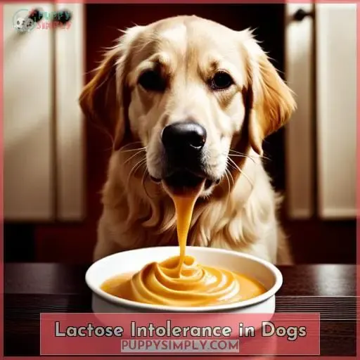 Lactose Intolerance in Dogs