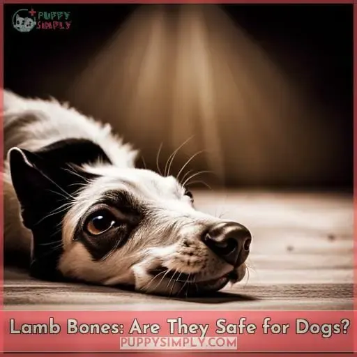 Lamb Bones: Are They Safe for Dogs?