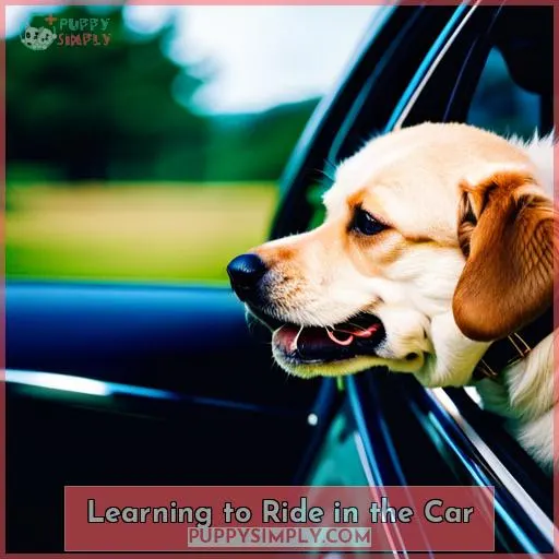 Learning to Ride in the Car