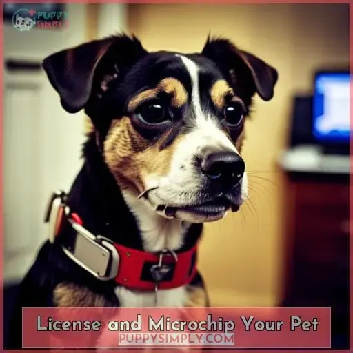 License and Microchip Your Pet