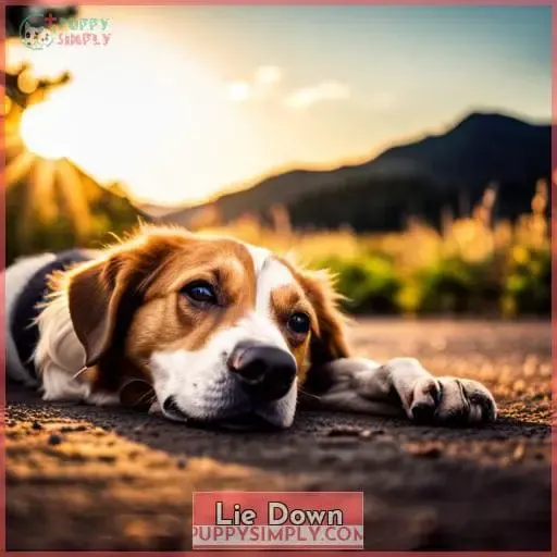 Lie Down