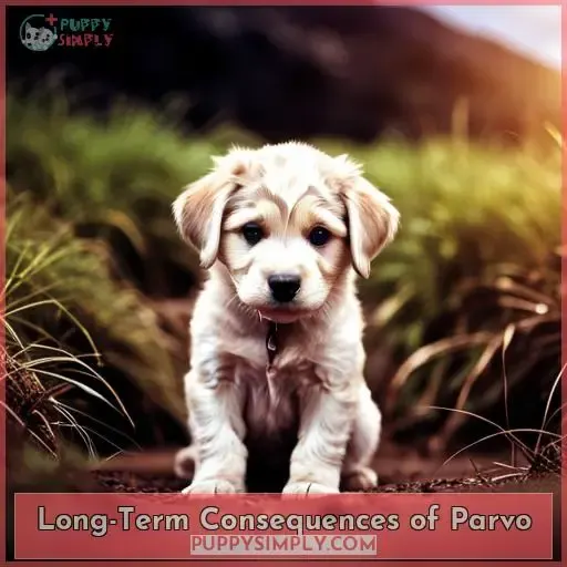 Long-Term Consequences of Parvo