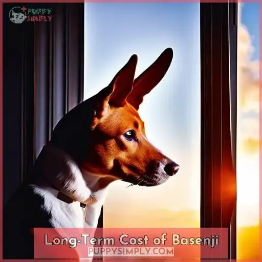 Long-Term Cost of Basenji