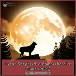 lycan shepherd